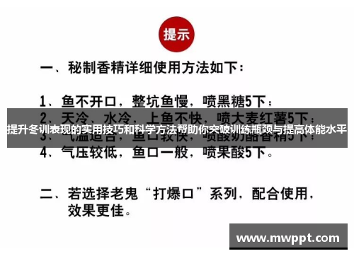 提升冬训表现的实用技巧和科学方法帮助你突破训练瓶颈与提高体能水平