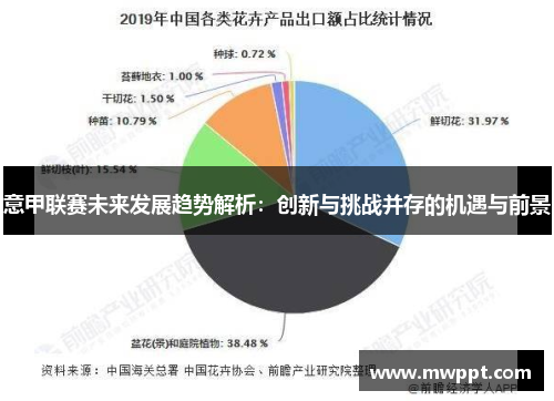 意甲联赛未来发展趋势解析：创新与挑战并存的机遇与前景