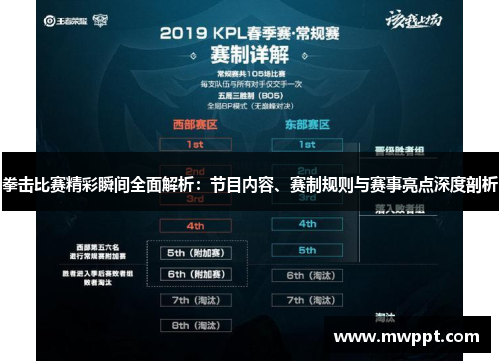 拳击比赛精彩瞬间全面解析：节目内容、赛制规则与赛事亮点深度剖析